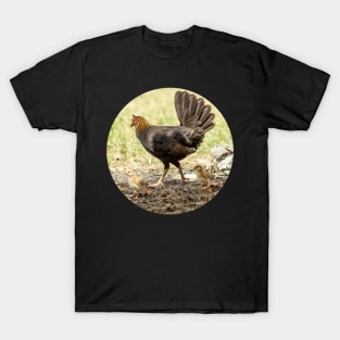 chicken and chicks T-Shirt